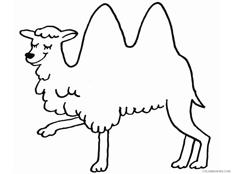 Camel Coloring Pages Animal Printable Sheets camel2 2021 0734 Coloring4free