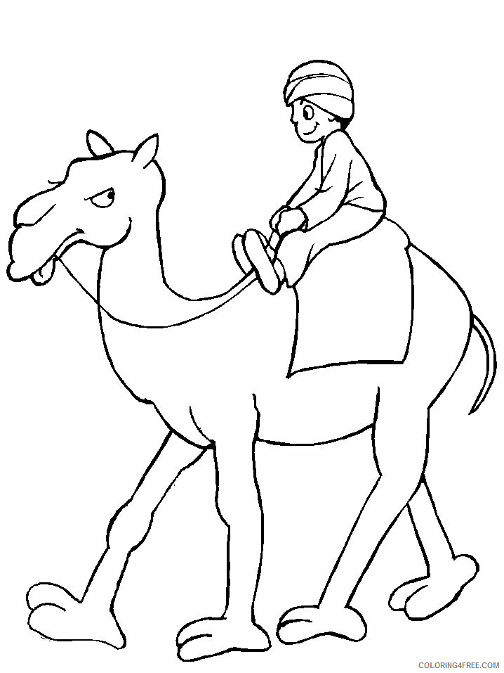 Camel Coloring Pages Animal Printable Sheets camel5 2021 0735 Coloring4free