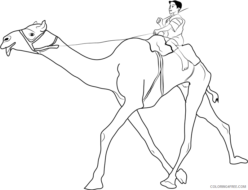Camel Coloring Pages Animal Printable Sheets man riding camel a4 2021 0724 Coloring4free