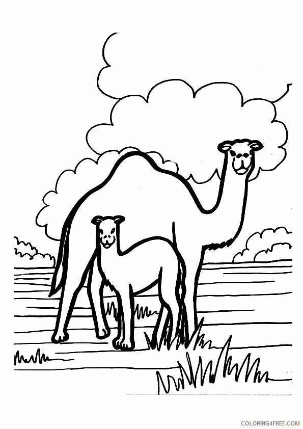 Camel Coloring Sheets Animal Coloring Pages Printable 2021 0650 Coloring4free