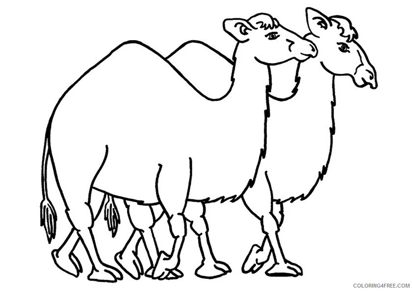 Camel Coloring Sheets Animal Coloring Pages Printable 2021 0660 Coloring4free