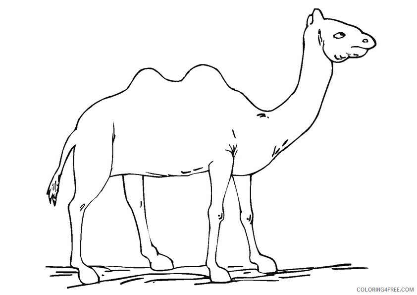 Camel Coloring Sheets Animal Coloring Pages Printable 2021 0661 Coloring4free