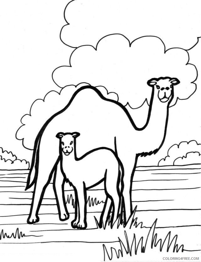 Camel Coloring Sheets Animal Coloring Pages Printable 2021 0662 Coloring4free