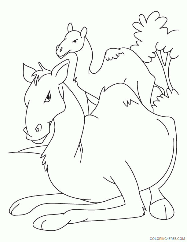 Camel Coloring Sheets Animal Coloring Pages Printable 2021 0672 Coloring4free