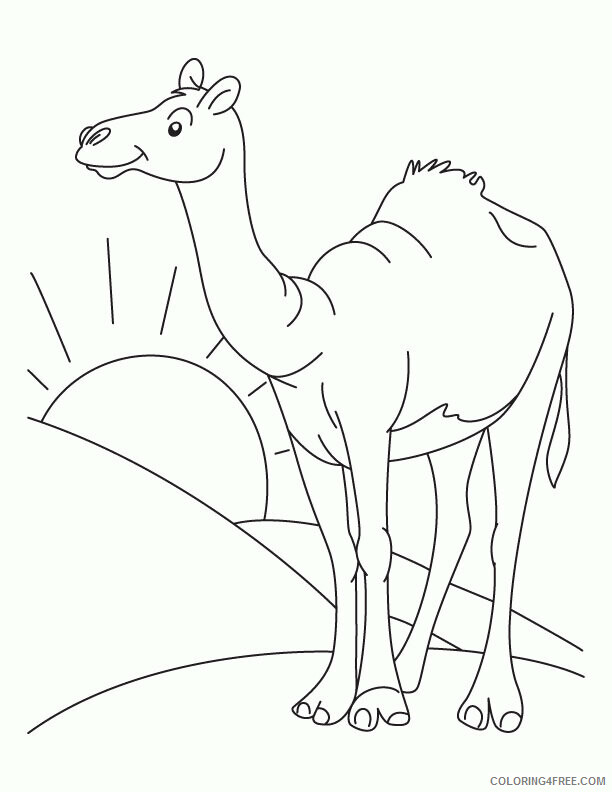 Camel Coloring Sheets Animal Coloring Pages Printable 2021 0675 Coloring4free