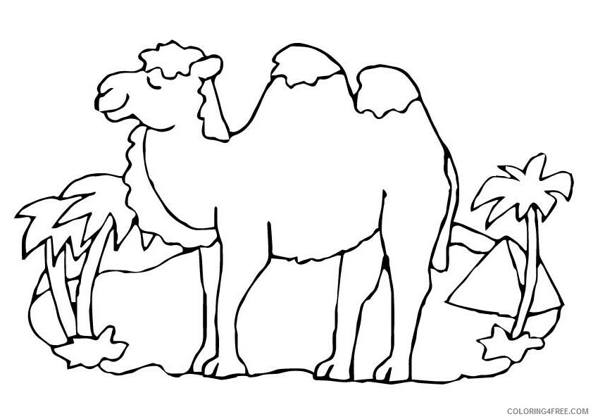 Camel Coloring Sheets Animal Coloring Pages Printable 2021 0680 Coloring4free