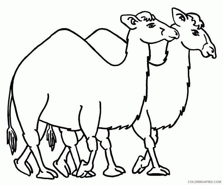 Camel Coloring Sheets Animal Coloring Pages Printable 2021 0689 Coloring4free