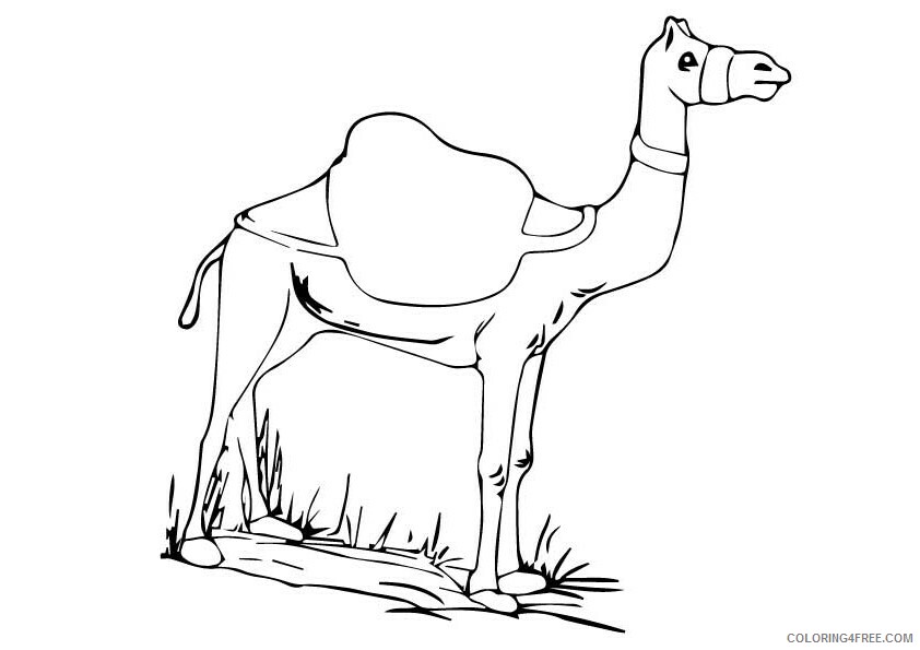Camel Coloring Sheets Animal Coloring Pages Printable 2021 0691 Coloring4free