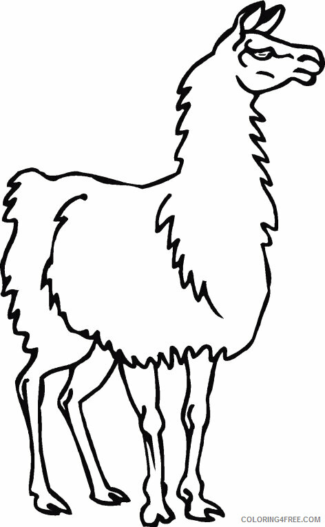 Camel Coloring Sheets Animal Coloring Pages Printable 2021 0695 Coloring4free