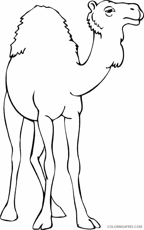 Camel Coloring Sheets Animal Coloring Pages Printable 2021 0696 Coloring4free