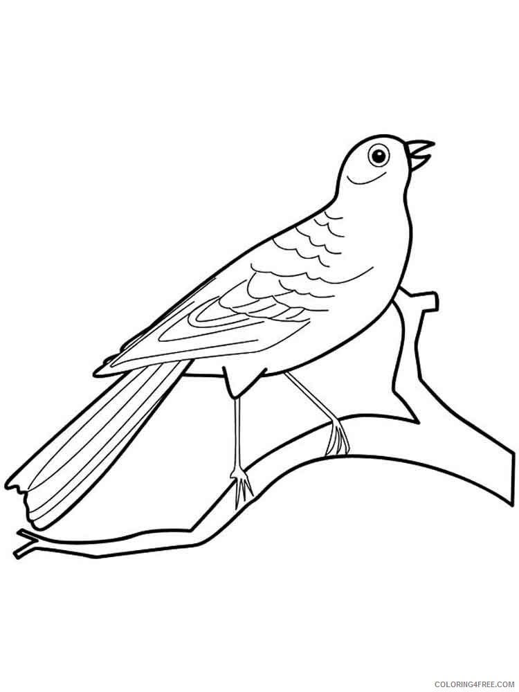 Canary Coloring Pages Animal Printable Sheets Canary birds 10 2021 0767 Coloring4free