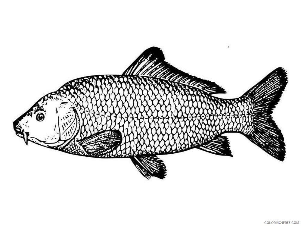 Carp Coloring Pages Animal Printable Sheets Carp 3 2021 0772 Coloring4free