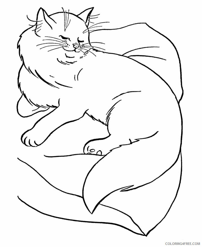 Cat Coloring Pages Animal Printable Sheets Cat 2021 0803 Coloring4free