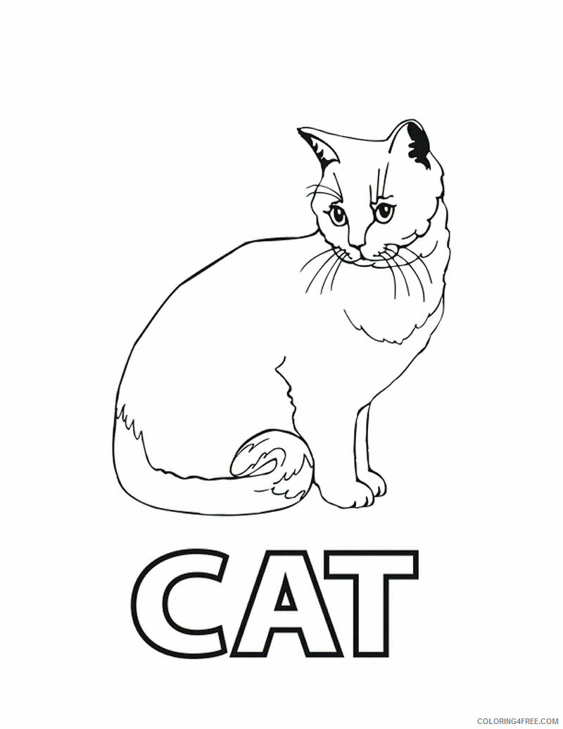 Cat Coloring Pages Animal Printable Sheets Cat 2021 0805 Coloring4free