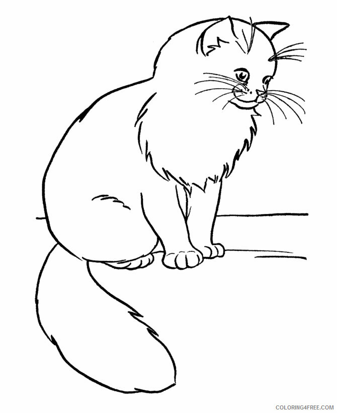 Cat Coloring Pages Animal Printable Sheets Cat 2021 0806 Coloring4free