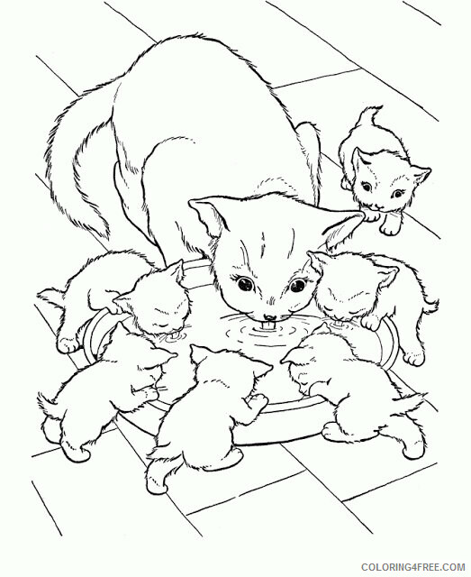 Cat Coloring Pages Animal Printable Sheets Cat and Kitten 2021 0799 Coloring4free