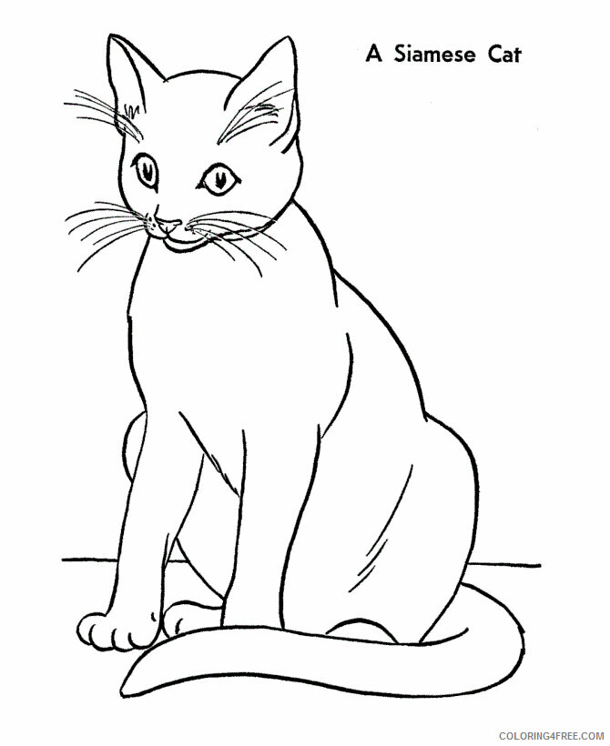 Cat Coloring Pages Animal Printable Sheets Cheshire Cat 2021 0834 Coloring4free