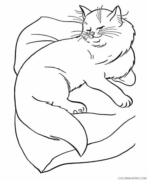 Cat Coloring Pages Animal Printable Sheets Persian Cat is Sleeping 2021 0886 Coloring4free