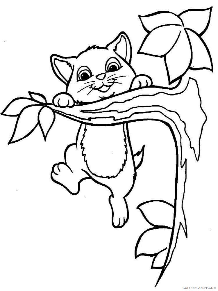 Cat Coloring Pages Animal Printable Sheets animals cats 13 2021 0843 Coloring4free
