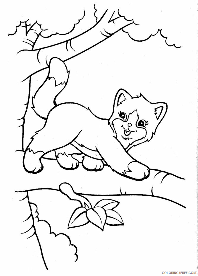 Cat Coloring Sheets Animal Coloring Pages Printable 2021 0716 Coloring4free