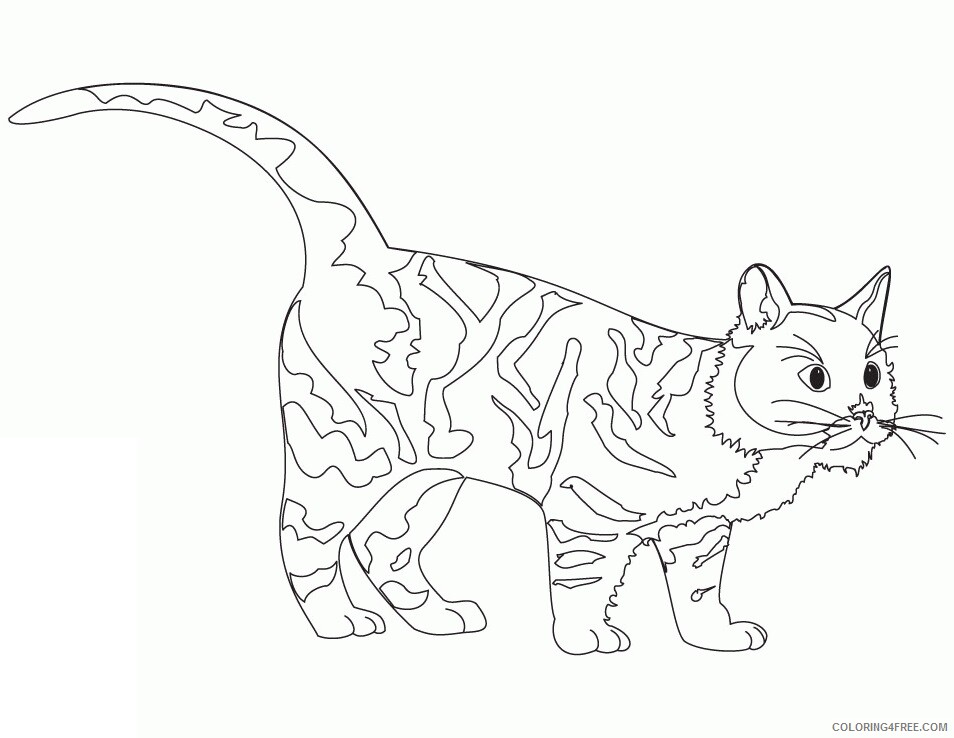 Cat Coloring Sheets Animal Coloring Pages Printable 2021 0728 Coloring4free