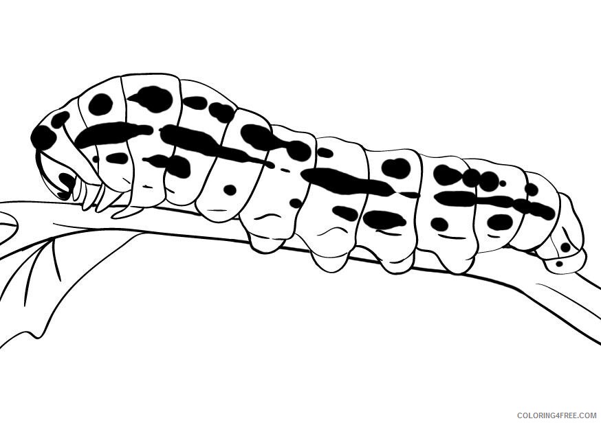 Caterpillar Coloring Pages Animal Printable Sheets Caterpillar Pictures 2021 0930 Coloring4free