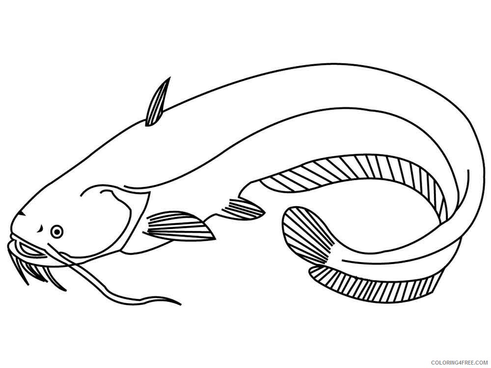 Catfish Coloring Pages Animal Printable Sheets Catfish 12 2021 0949 Coloring4free