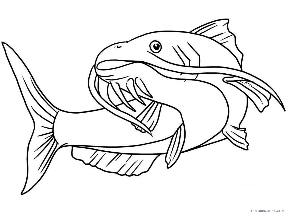 Catfish Coloring Pages Animal Printable Sheets Catfish 13 2021 0950 Coloring4free