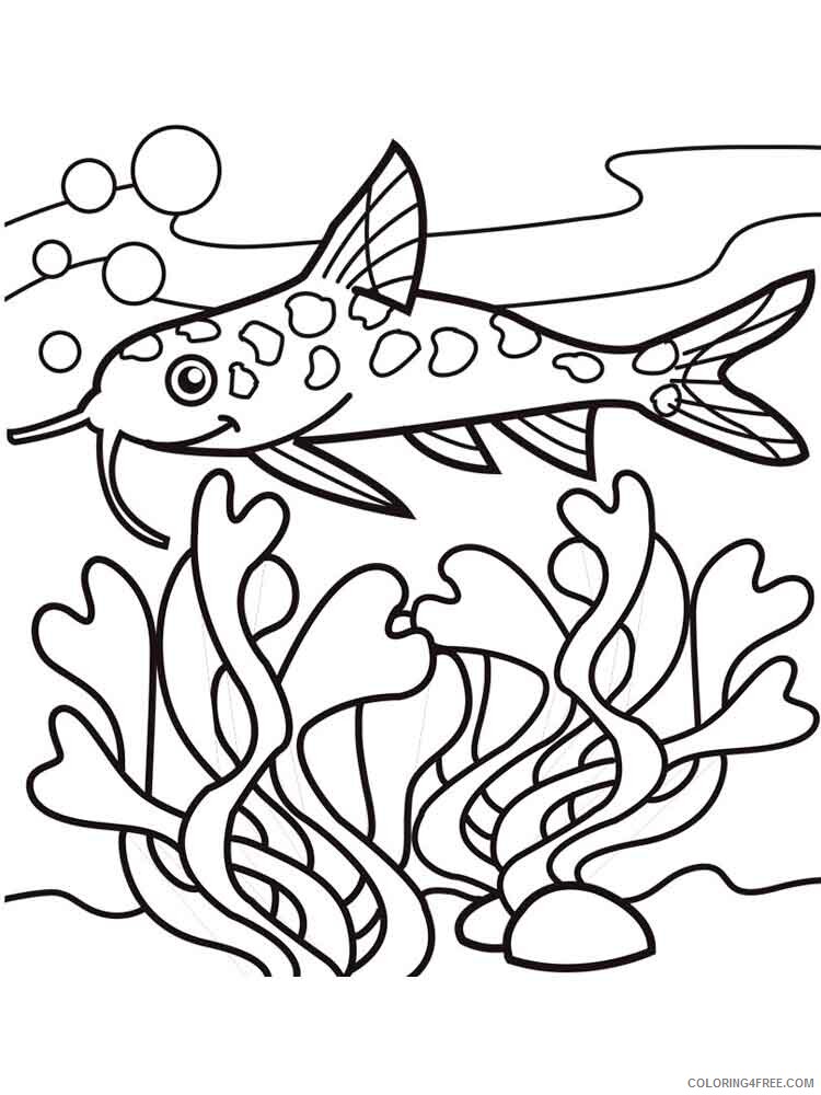 Catfish Coloring Pages Animal Printable Sheets Catfish 14 2021 0951 Coloring4free