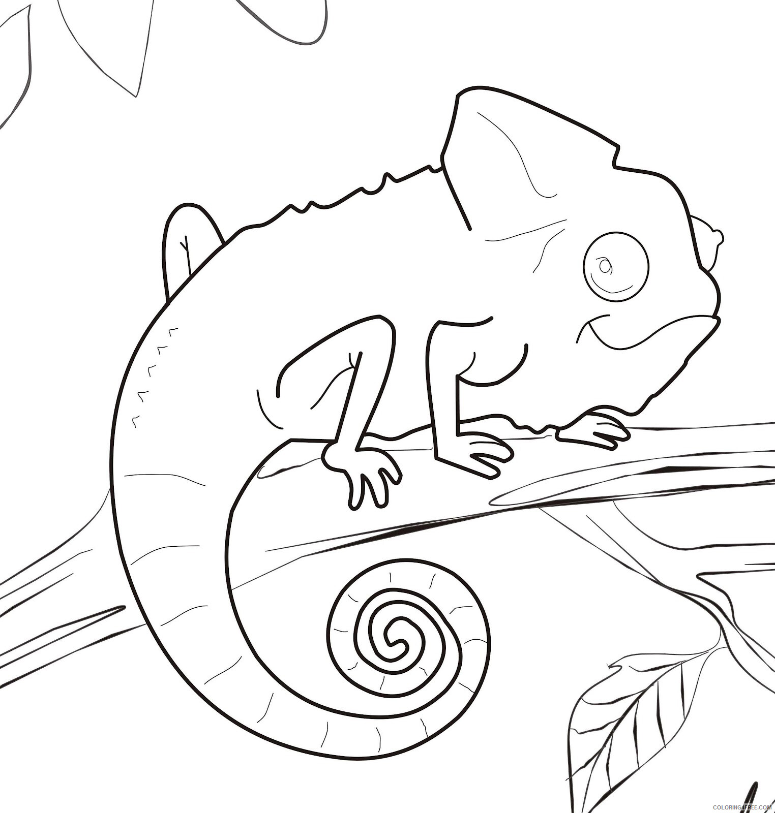 Chameleon Coloring Pages Animal Printable Sheets Chameleon 2021 0962 Coloring4free