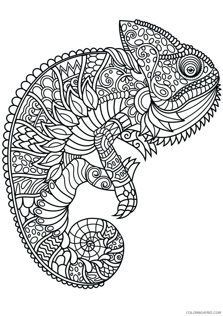 Chameleon Coloring Pages Animal Printable Sheets Chameleon Animal Mandala 2021 Coloring4free