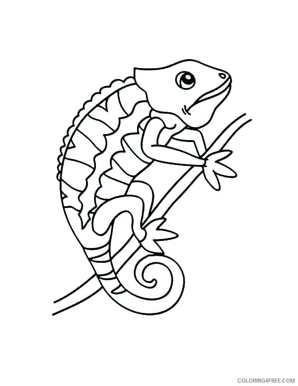 Chameleon Coloring Pages Animal Printable Sheets Chameleon for Kids 2021 0991 Coloring4free