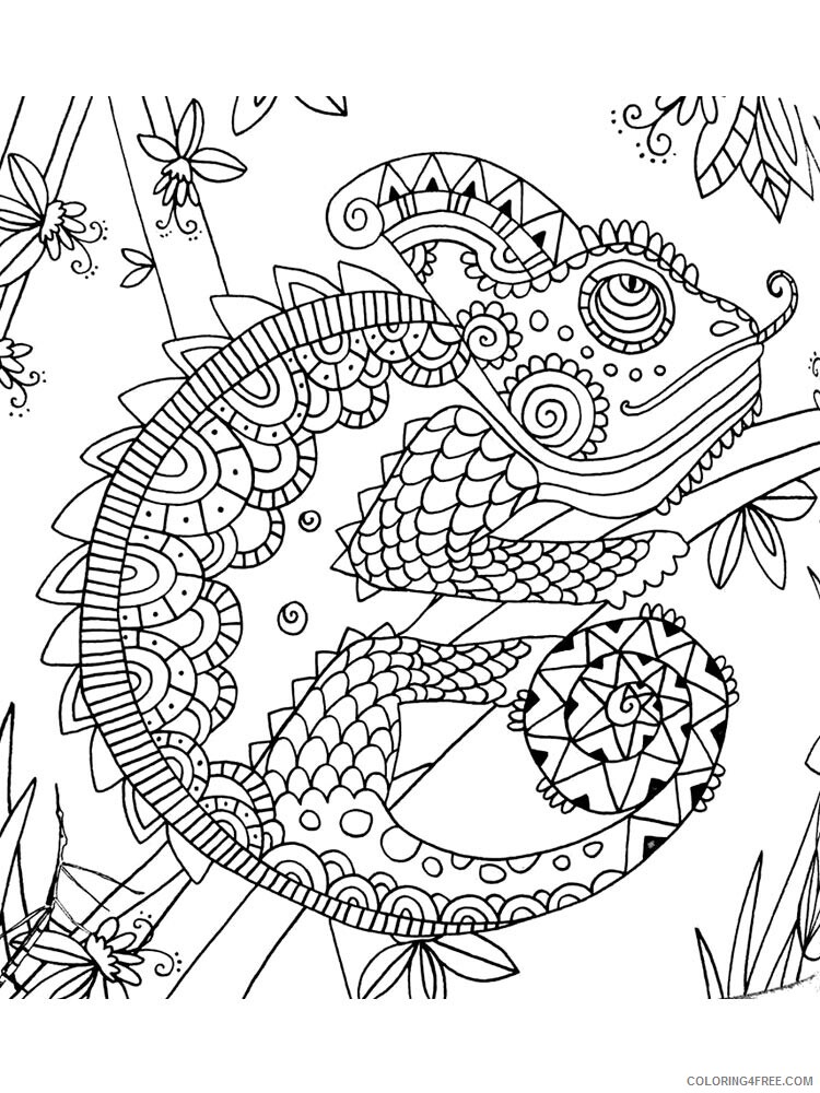 Chameleon Coloring Pages Animal Printable Sheets chameleon 1 2021 0964 Coloring4free