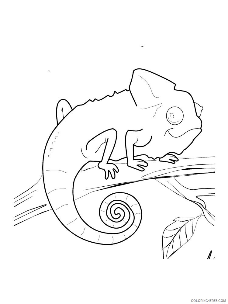 Chameleon Coloring Pages Animal Printable Sheets chameleon 10 2021 0965 Coloring4free