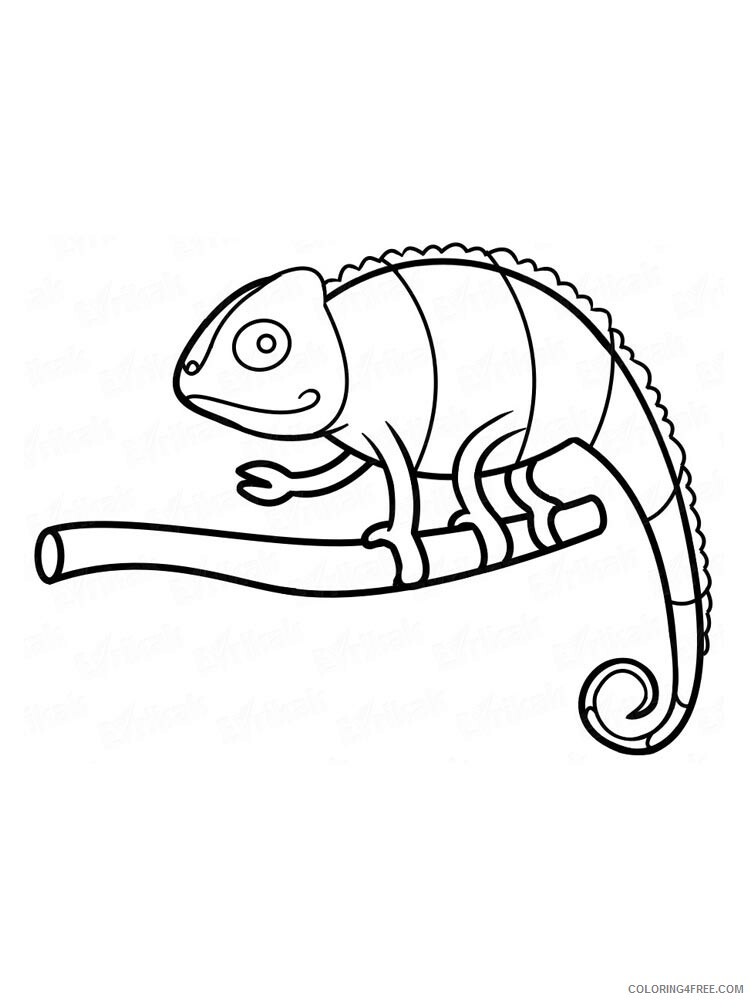 Chameleon Coloring Pages Animal Printable Sheets chameleon 17 2021 0970 Coloring4free