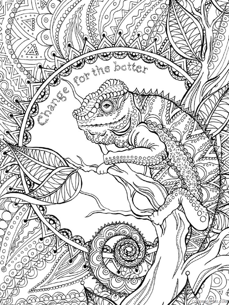 Chameleon Coloring Pages Animal Printable Sheets chameleon 2 2021 0973 Coloring4free