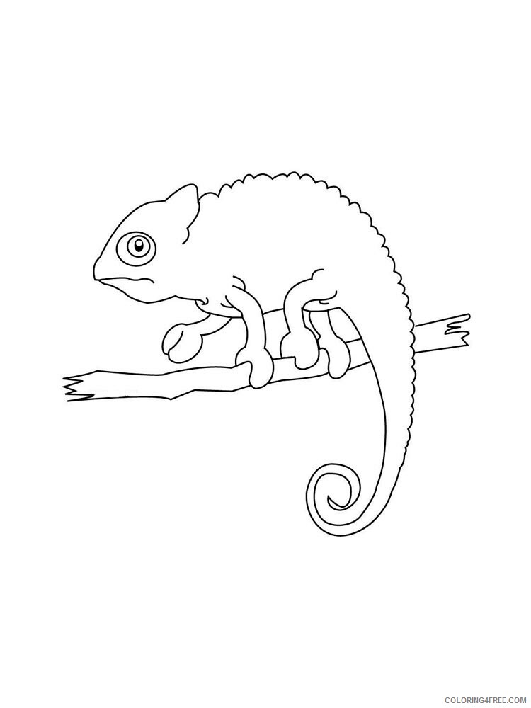 Chameleon Coloring Pages Animal Printable Sheets chameleon 22 2021 0976 Coloring4free