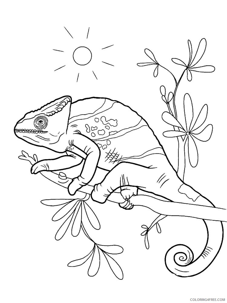 Chameleon Coloring Pages Animal Printable Sheets chameleon 24 2021 0978 Coloring4free