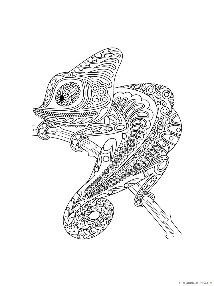 Chameleon Coloring Pages Animal Printable Sheets chameleon 25 2021 0979 Coloring4free