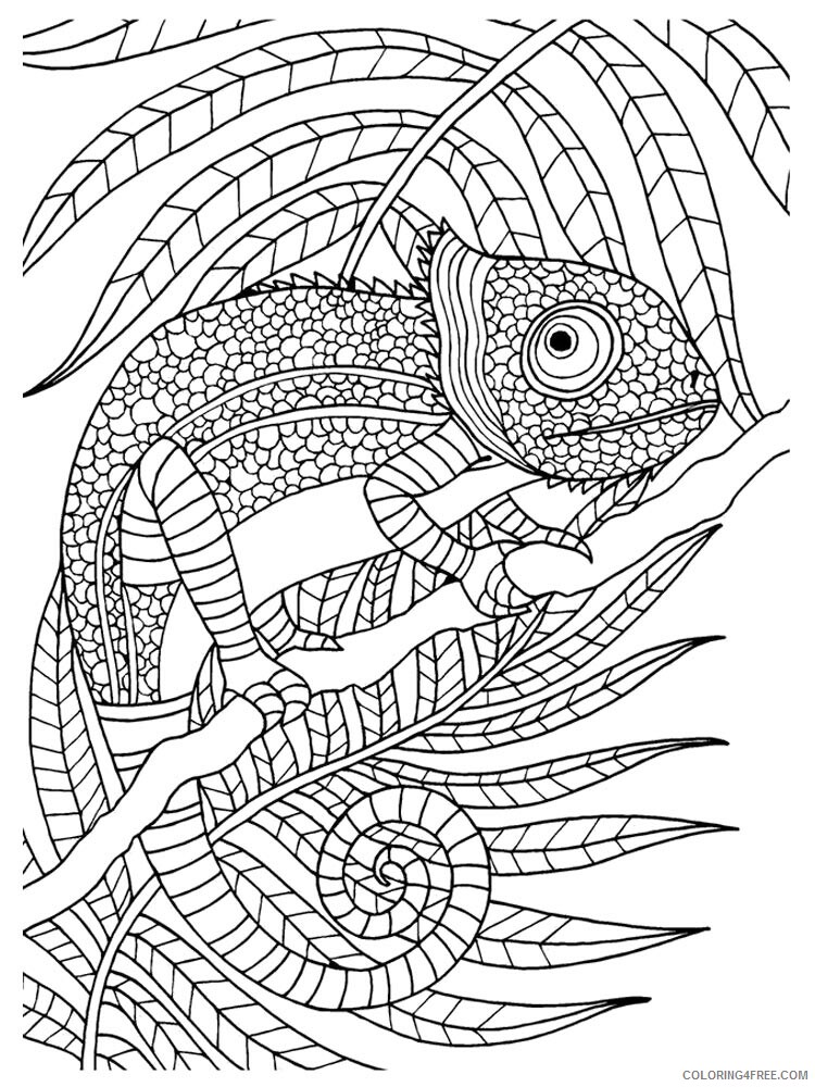 Chameleon Coloring Pages Animal Printable Sheets chameleon 28 2021 0982 Coloring4free