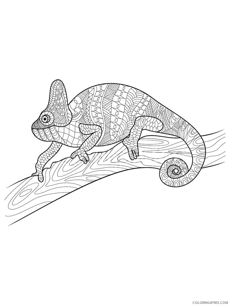 Chameleon Coloring Pages Animal Printable Sheets chameleon 29 2021 0983 Coloring4free