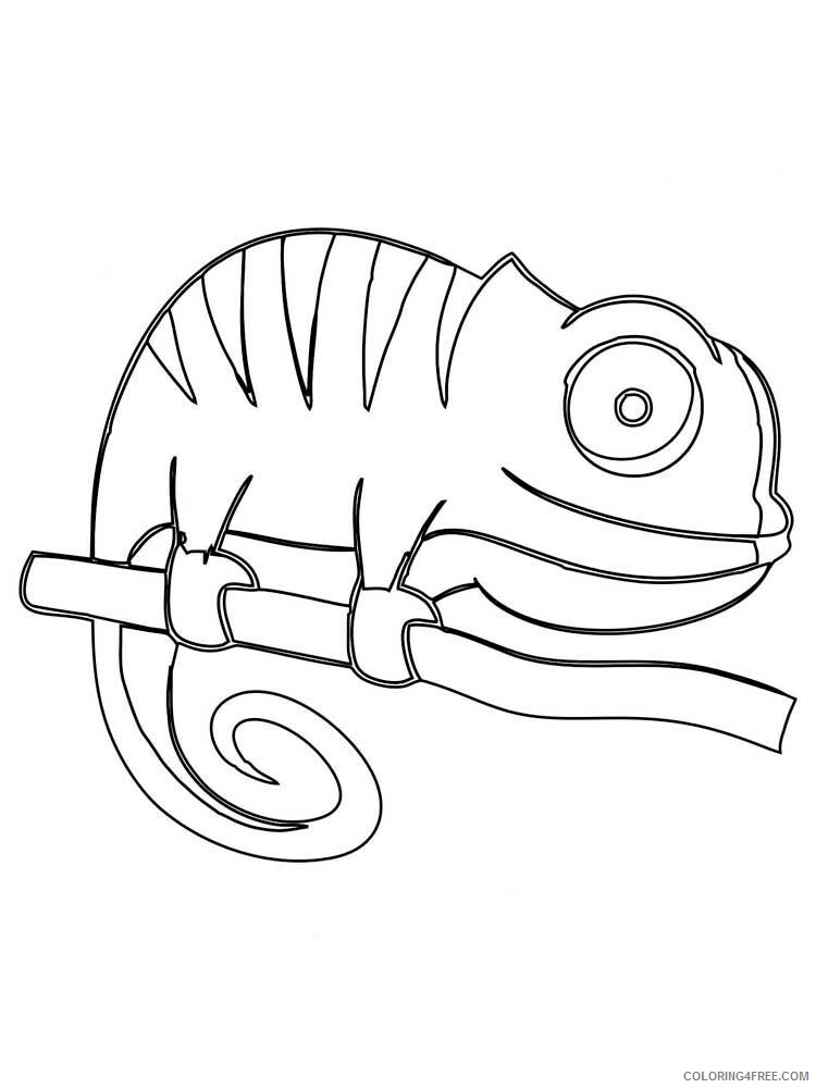 Chameleon Coloring Pages Animal Printable Sheets chameleon 3 2021 0984 Coloring4free