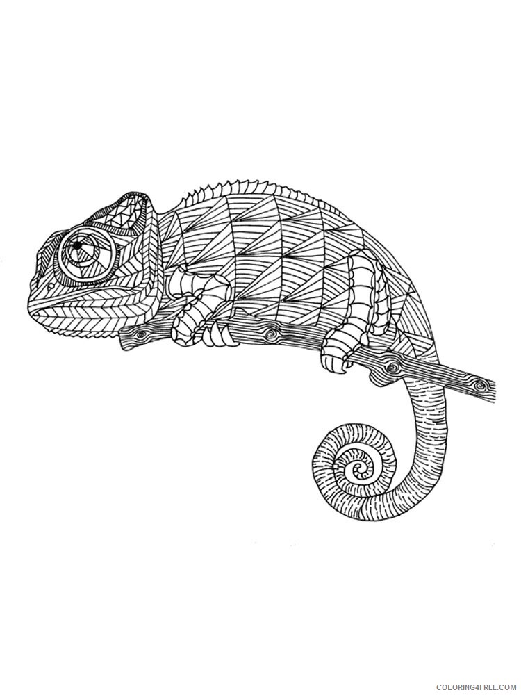 Chameleon Coloring Pages Animal Printable Sheets chameleon 5 2021 0987 Coloring4free