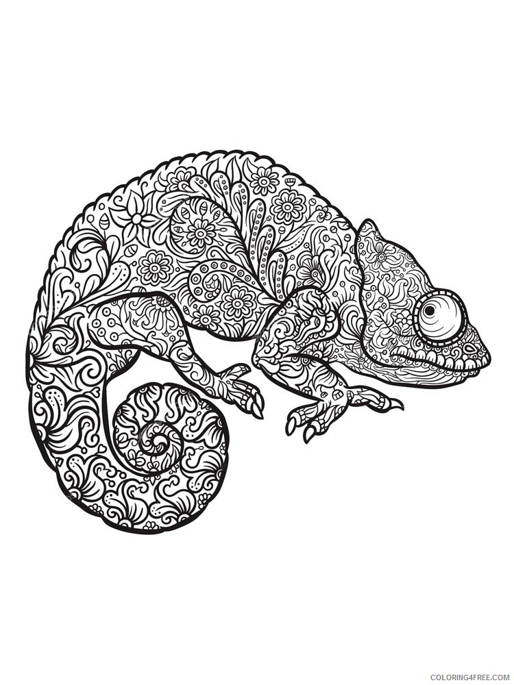 Chameleon Coloring Pages Animal Printable Sheets chameleon 6 2021 0988 Coloring4free