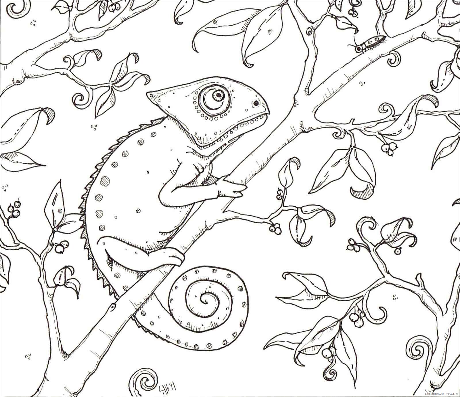 Chameleon Coloring Pages Animal Printable Sheets chameleon lives on tree 2021 Coloring4free