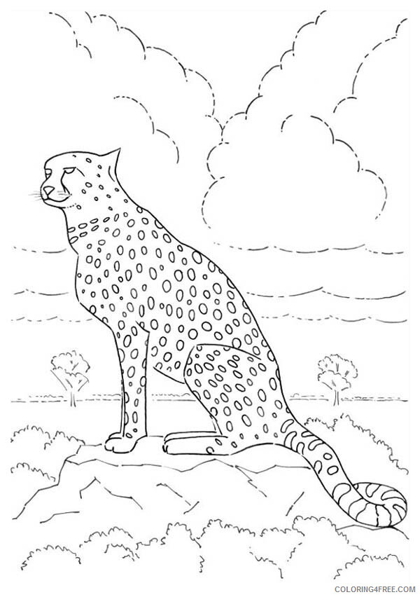 Cheetah Coloring Pages Animal Printable Sheets Free Cheetah 2021 1014 Coloring4free
