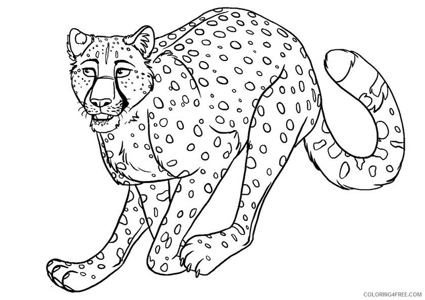 Cheetah Coloring Sheets Animal Coloring Pages Printable 2021 0840 Coloring4free