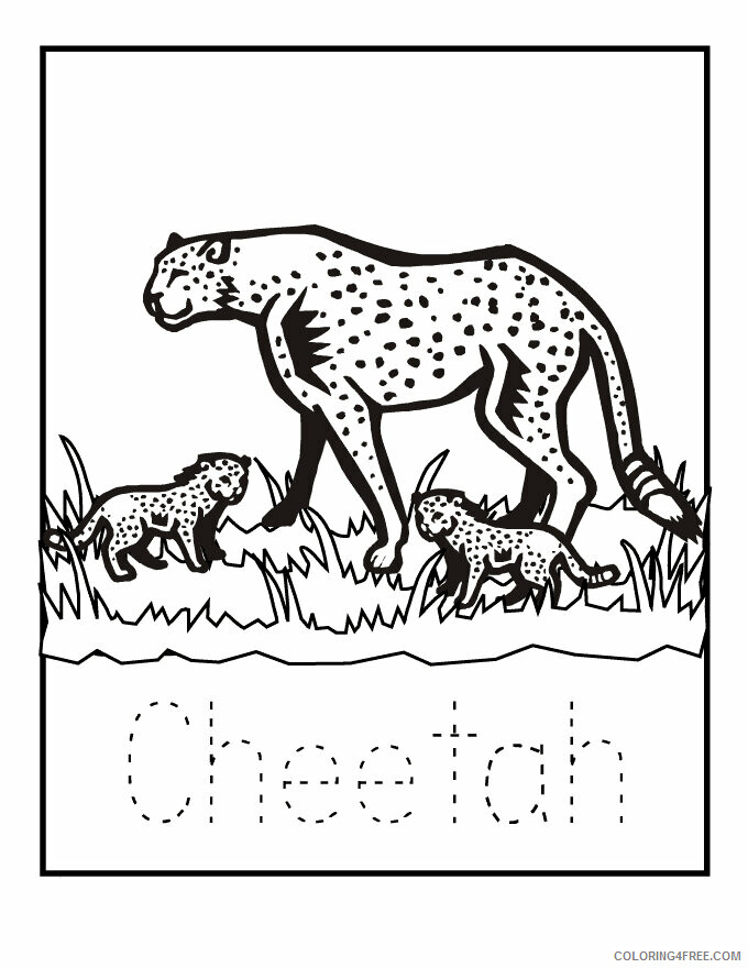 Cheetah Coloring Sheets Animal Coloring Pages Printable 2021 0855 Coloring4free
