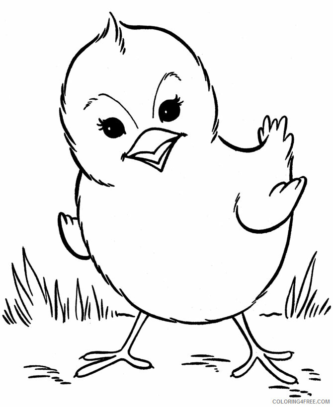 Chick Coloring Pages Animal Printable Sheets Chick 2021 1021 Coloring4free