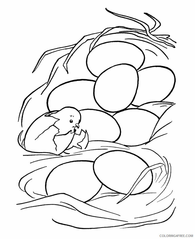 Chick Coloring Pages Animal Printable Sheets Chick and Eggs 2021 1018 Coloring4free